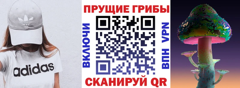 Галлюциногенные грибы MAGIC MUSHROOMS hydra tor Балей